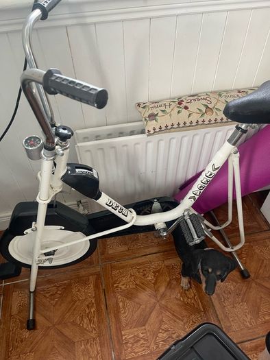 exercise