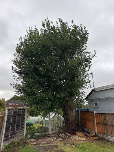 Gardening & Tree Service