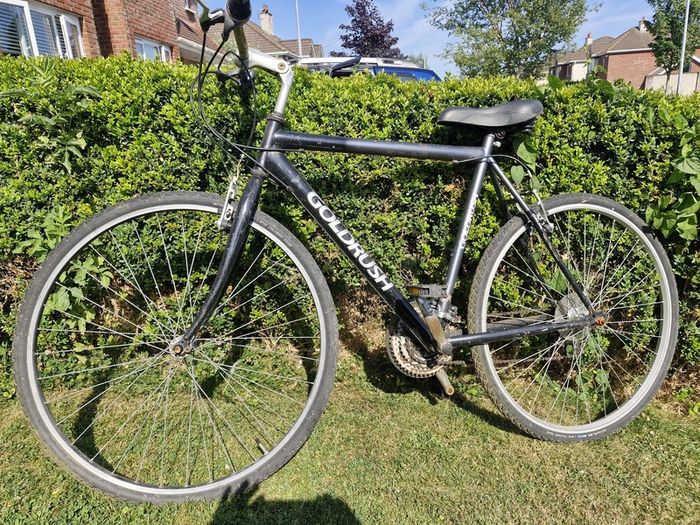 FREE GoldRush Mountain Bike