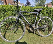 FREE GoldRush Mountain Bike