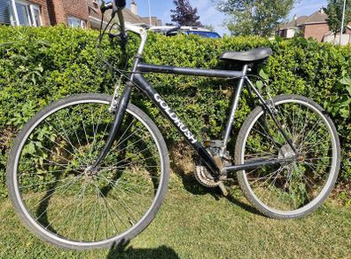 FREE GoldRush Mountain Bike