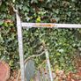 Bamboo horse measuring walking stick Image 4