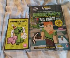 Minecraft Books
