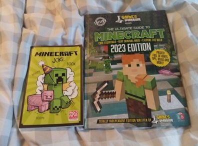Minecraft Books