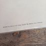 Curly Wee and Gussie Goose hardback, Independent News Dubljn Image 7