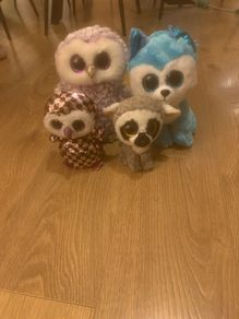 Cuddly toys