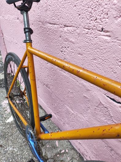 Fixie / Single Speed Bicycle