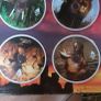DVD collectors edition Wildlife diary 8 DVD Image 3