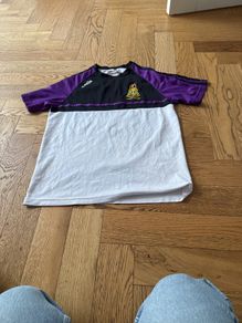 Terenure college junior rugby too