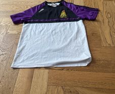 Terenure college junior rugby too
