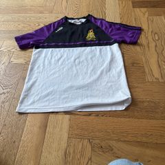 Terenure college junior rugby too