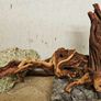 Aquarium Wood Image 9