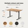 Height-Adjustable Electric Desk, 120x80 cm Sit-Stand Office Desk Image 10