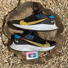Nike React Pegasus Trail 2