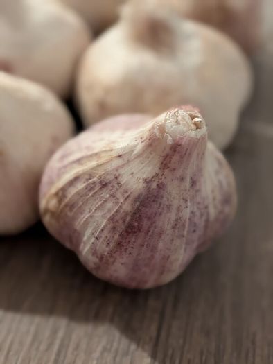 Home grown garlic
