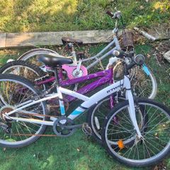 free kids bikes - perfect for someone to restore.