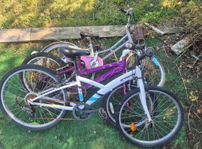 free kids bikes - perfect for someone to restore.