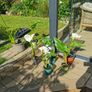 plants Image 2