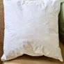Sage green velvet cushions Image 5