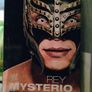 WWE WWF wrestling books Image 4