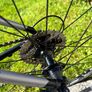 Price drop - Trek Road bike Image 3