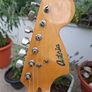 1977 Antoria (Ibanez) Strat Fujigen Gakki Japan Image 7