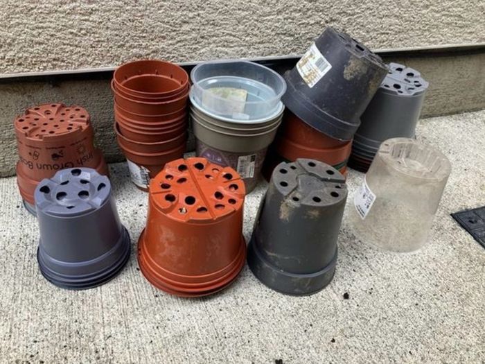 Garden plant pots