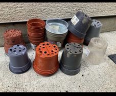 Garden plant pots