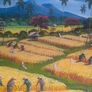Bali Aging mountain rice harvest Image 3