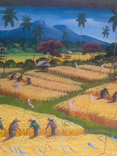 Bali Aging mountain rice harvest
