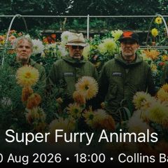 Super Furry Animals at Collins Barracks. Sunday. Collins Barracks