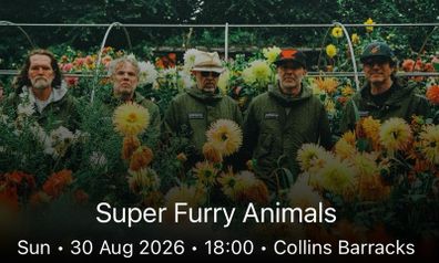 Super Furry Animals at Collins Barracks. Sunday. Collins Barracks
