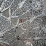 Sterling Silver Filigree 7 Inch Dish(110 grams) Image 3