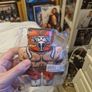 Wrestling Buddies Image 3