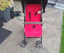 buggy