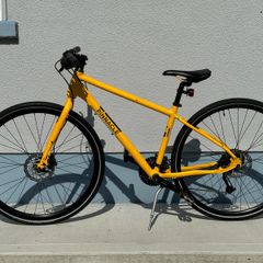 Pinnacle Lithium Hybrid Bike with Hydraulic Brakes