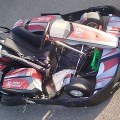 Petrol Honda 200cc gokart mint