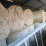 Hay for sale.  Organic Image 2