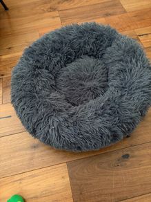 dog bed