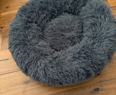 dog bed