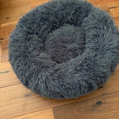 dog bed