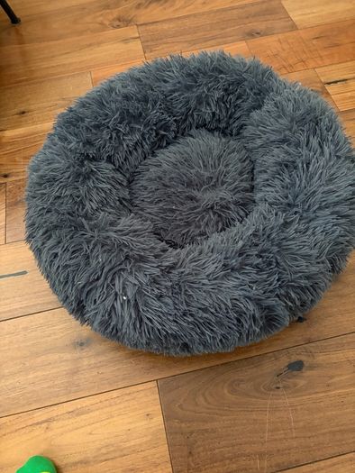 dog bed
