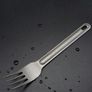 Titanium Fork Image 2