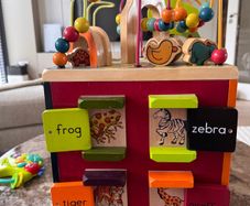 Animals Wooden Zany Zoo Cube Activity Center