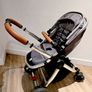 Babylo panorama 2 in 1 buggy Image 6
