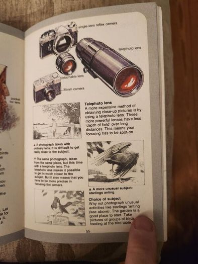 Whizz Kids. Birdwatching First Edition Vintage 1979 Paperback In Good Condition. 36.