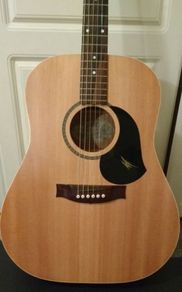 Maton M225