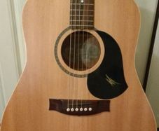 Maton M225