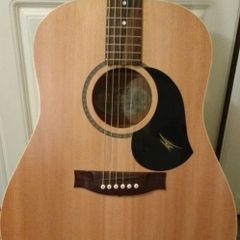 Maton M225
