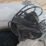 Crow Lamp Image 4